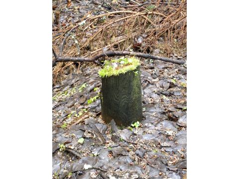 Foto 21